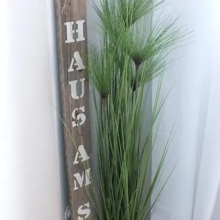 アパート Dreimaster ビューズム